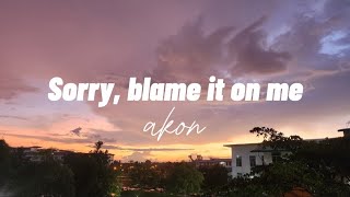 Sorry, Blame It On Me - Akon (lyrics)