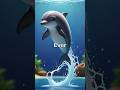 Dive Into The Ocean Depths I VReal Quick Ocean Virtualreality