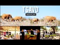 Day 1 Tsavo Safari Voi Wildlife Lodge Amazing Family Fun Time Vlog Youtube Wildlife Safari