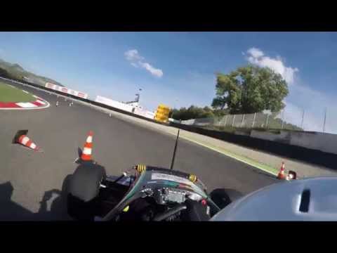 Formula Student Italy 2015 - Endurance - DHBW Engineering Stuttgart e.V. (eSleek15, Car 667)