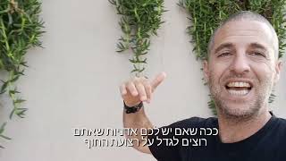 צלקנית צמח כיסוי ויצירת קיר ירוק בקו ראשון לים