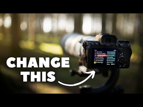 A7IV - My Settings for WILDLIFE Photography