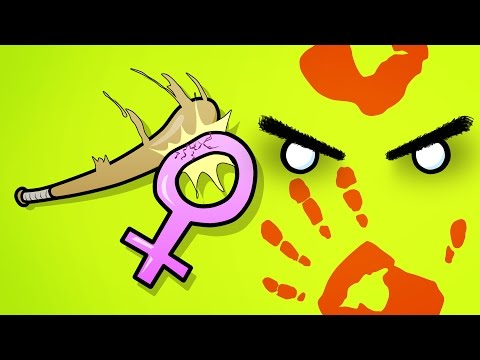 DumaRagu - MEGÜTÖTTEM EGY LÁNYT