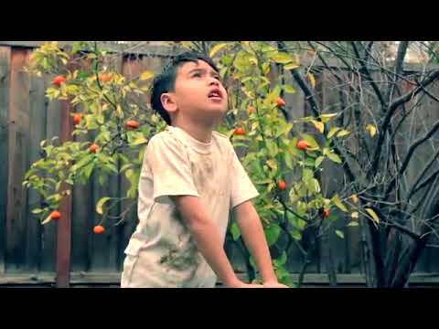 EL OAXACA   El Chamakito Video Oficial