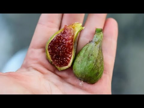 De La Roca - In my Top 3