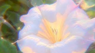 Tishmal Intuition Lyrics Matchlyric