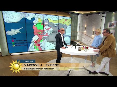 Hur går det med vapenvilan i Syrien? - Nyhetsmorgon (TV4)