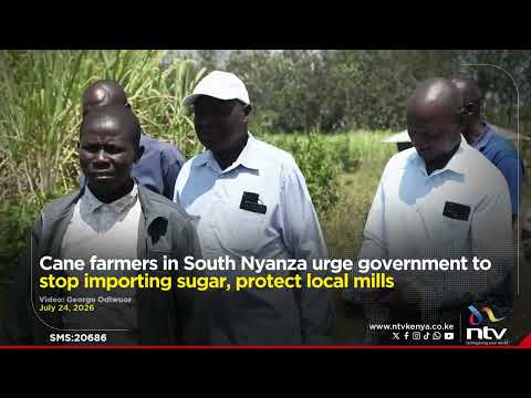 Cane farmers in South Nyanza urge government to stop importing sugar, protect local mills