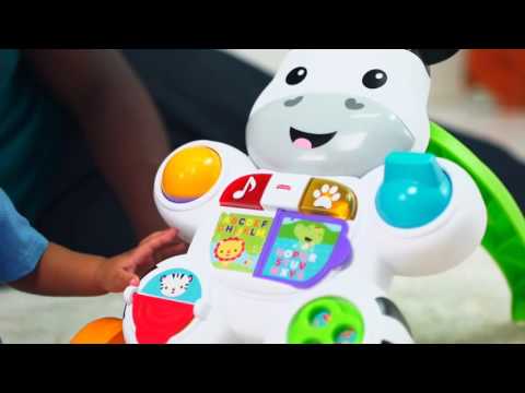 Stumjamais staigulis Fisher Price Smart Stages Puppy Walker RU FRC93