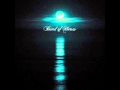 Band Of Horses - Windows Blues 