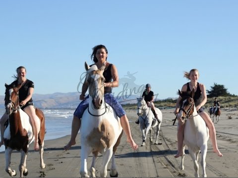 AWESOME DAY AT THE BEACH RIDING BAREBACK & BRIDELESS