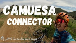 Cross country smoothness...still mostly up then mostly down.