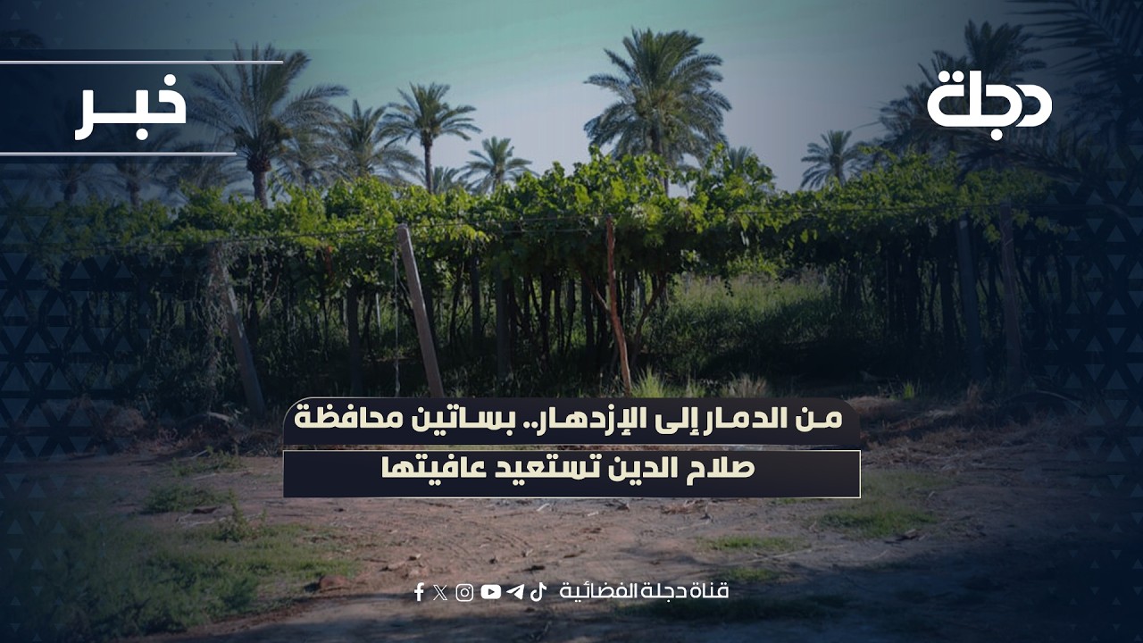 فيديو | من الدمار إلى الإزدهار.. بساتين محافظة صلاح الدين تستعيد عافيتها