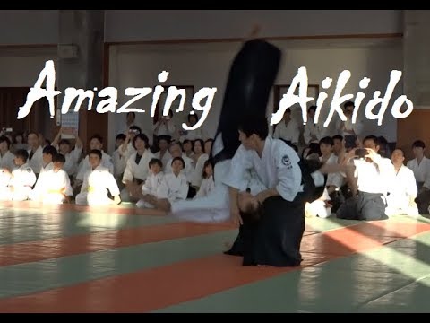 Amazing Aikido Demonstration - Ryuji Shirakawa Shihan