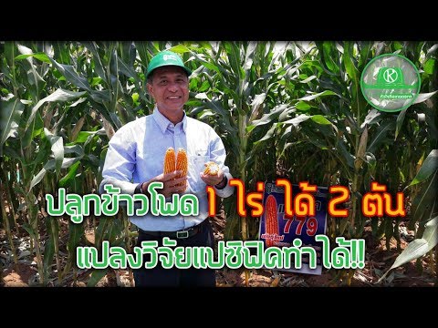 ครีมเพื่อเพิ่มความแข็งแรง ชายน้อยกับสมาชิก