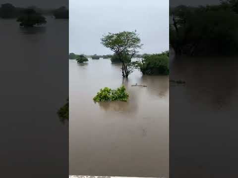 Rio Banabuiú senador Pompeu CE #music #funil #luizgonzaga