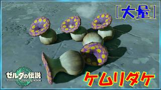 【ゼルダの伝説ティアキン】「ケムリダケ」が大量に手に入る群生地！簡単に手に入ります！