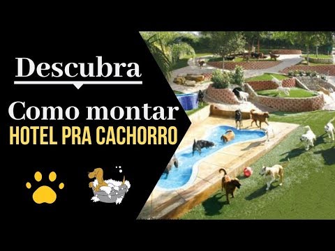 , title : 'Como montar um hotel para cachorro Dicas de sucesso'