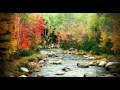 Majai - Phoria (Elevation Remix) 