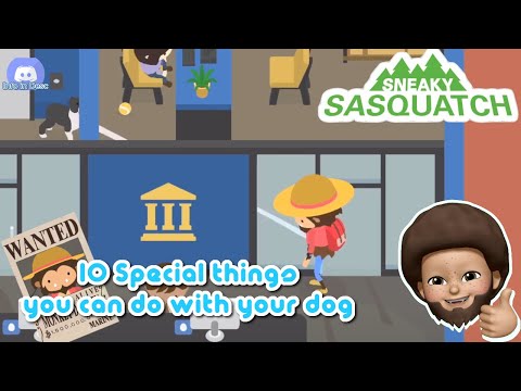 Sneaky Sasquatch Info - 10 special things you can do with your dog