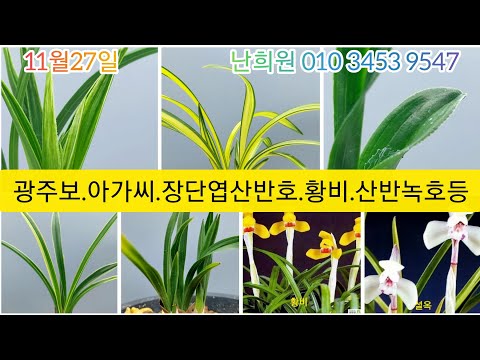 유튜브 썸네일