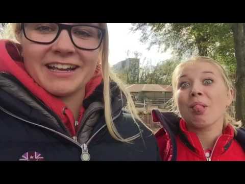 Dagje stage op Manege De Ruif !