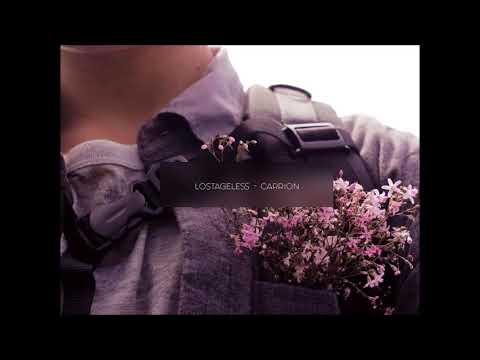lostageless - carrion