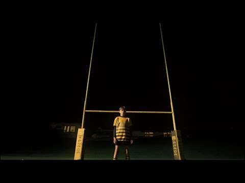 Náhled pro video reference