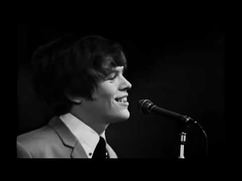 NEW * Wonderful World - Herman's Hermits {Stereo} 1965