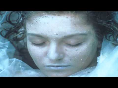 Laura Palmer Theme Fiops version