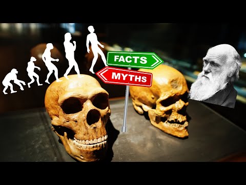 Revealing the Truth: Debunking Myths & Misconceptions About Human Evolution