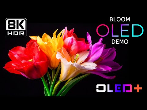 BEST OF OLED – Elegant Floral Bloom in 8K HDR | Dolby Vision™