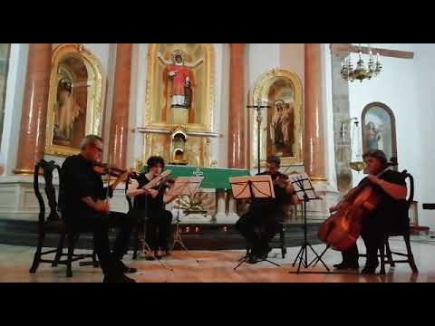 Vídeo Grupo Adagio 1