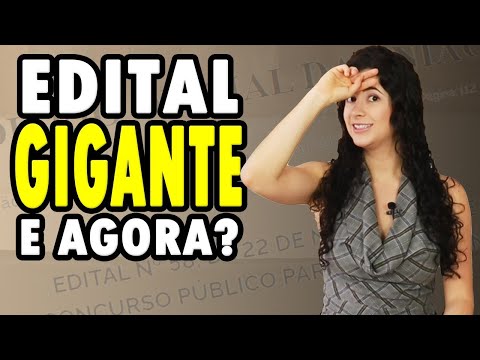 HOW TO STUDY MANY SUBJECTS | Laura Amorim