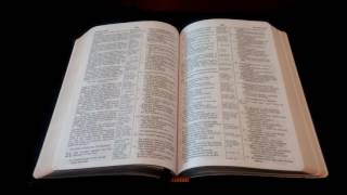 Jacob's Bible Readings: "Adam and Eve" (feat. Illya Leonov/AnnalandriaTano22)