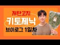 왜 저탄고지 키토제닉 다이어트를 시작했을까? | Vlog#1