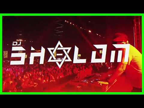 FE!N Vs Colocadão Vs Solteiro Eu Vou - MC GW, MC Teteu(DJ Shalom Funk Remix)