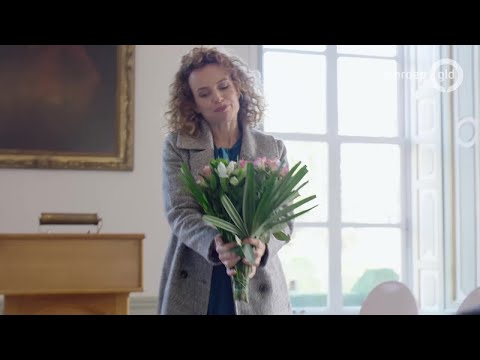 Koos 26 november 2019