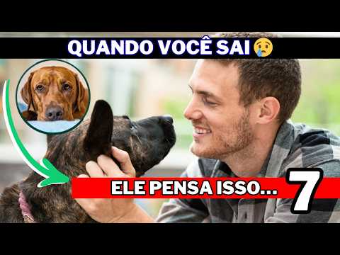 O Que Seu Cachorro Pensa Quando Você Sai de Casa? (7 Revelações Surpreendentes)