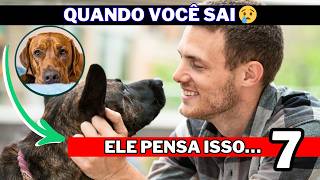 O Que Seu Cachorro Pensa Quando Você Sai de Casa? (7 Revelações Surpreendentes)
