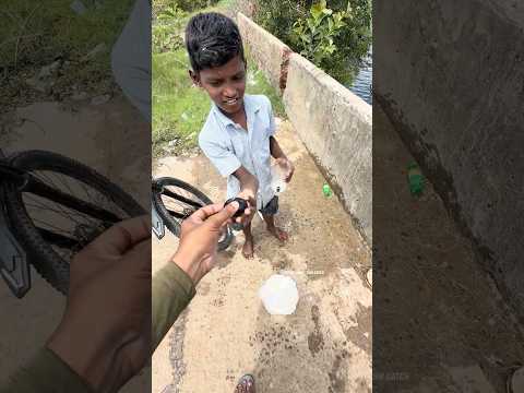 The Most Unusual Fishing Bait Ever? Black Eggs Catch Giant Mullets! #fishinglife #fishingvideo