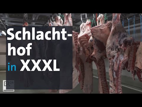 , title : 'Der größte Rinderschlachthof Deutschlands | BR24'