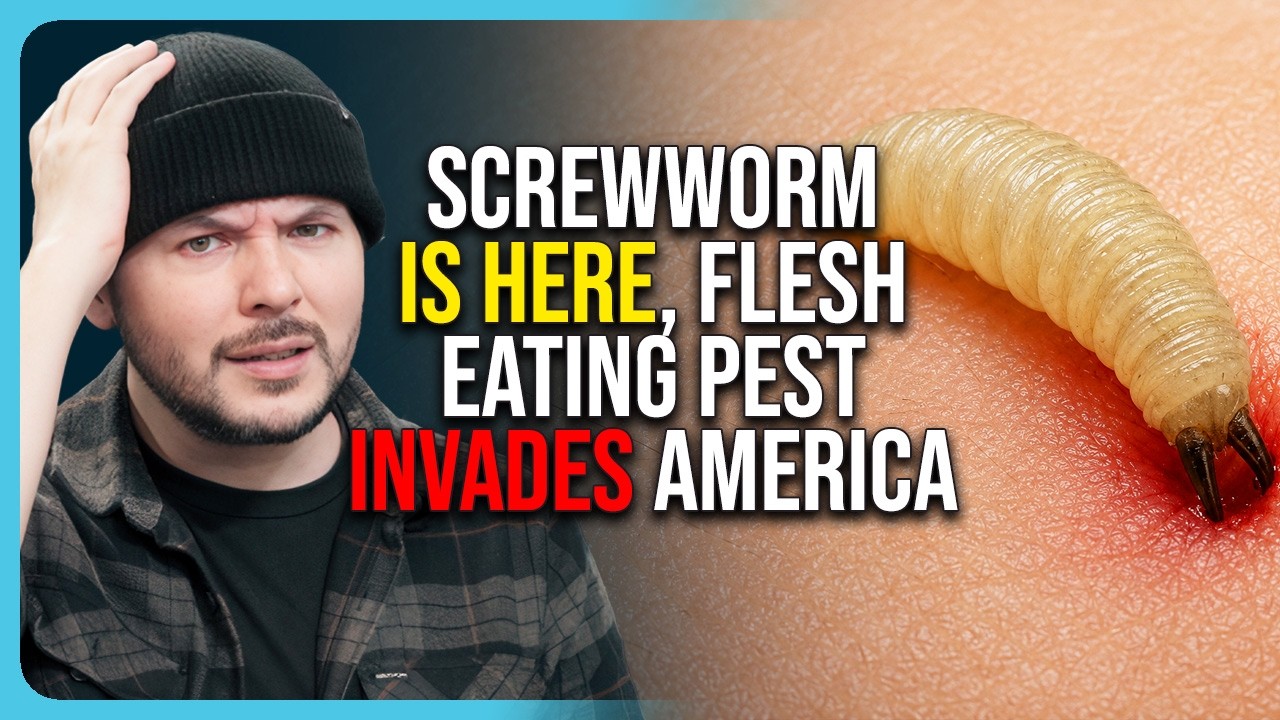 SCREWWORM IS HERE, Flesh Eating Pest INVADES America