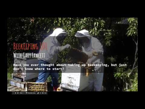 Beekeeping 101...Seven Steps to becoming a Beekeeper