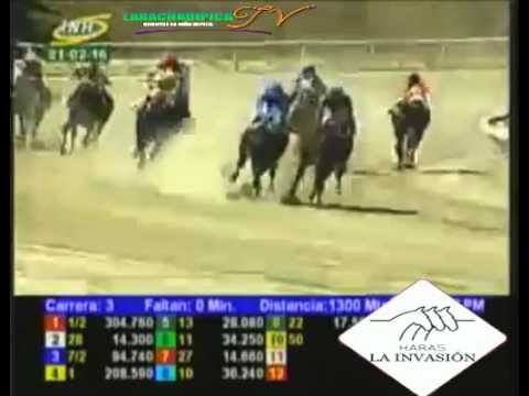 LA RINCONADA 3 CARRERA, DOMINGO 21 DE FEBRERO DEL 2016