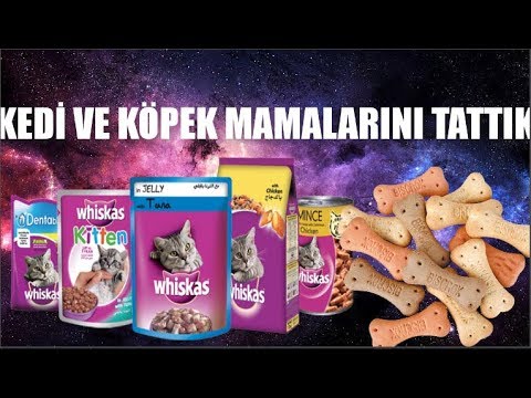 Kedi ve Köpek Mamalarını Tattık (Sürpriz Sonlu)