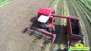 Koolzaad dorsen met de Massey Ferguson 8780 combine van Ebe Terpstra