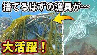 漁師の捨てるロープを海に沈めたら、2ヵ月後にイカの大産卵場になっていた！