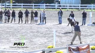 2013 PRO Bareback Show Jumping Challenge