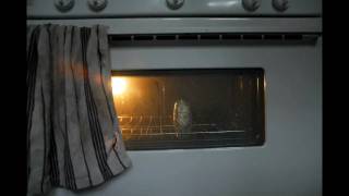 Local Natives - Airplanes (unofficial video about potatoes)